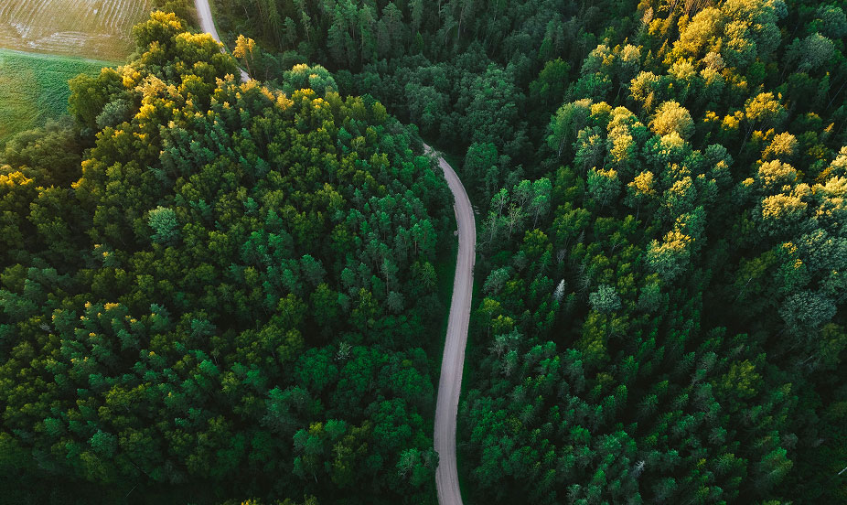 Taking account of Environmental